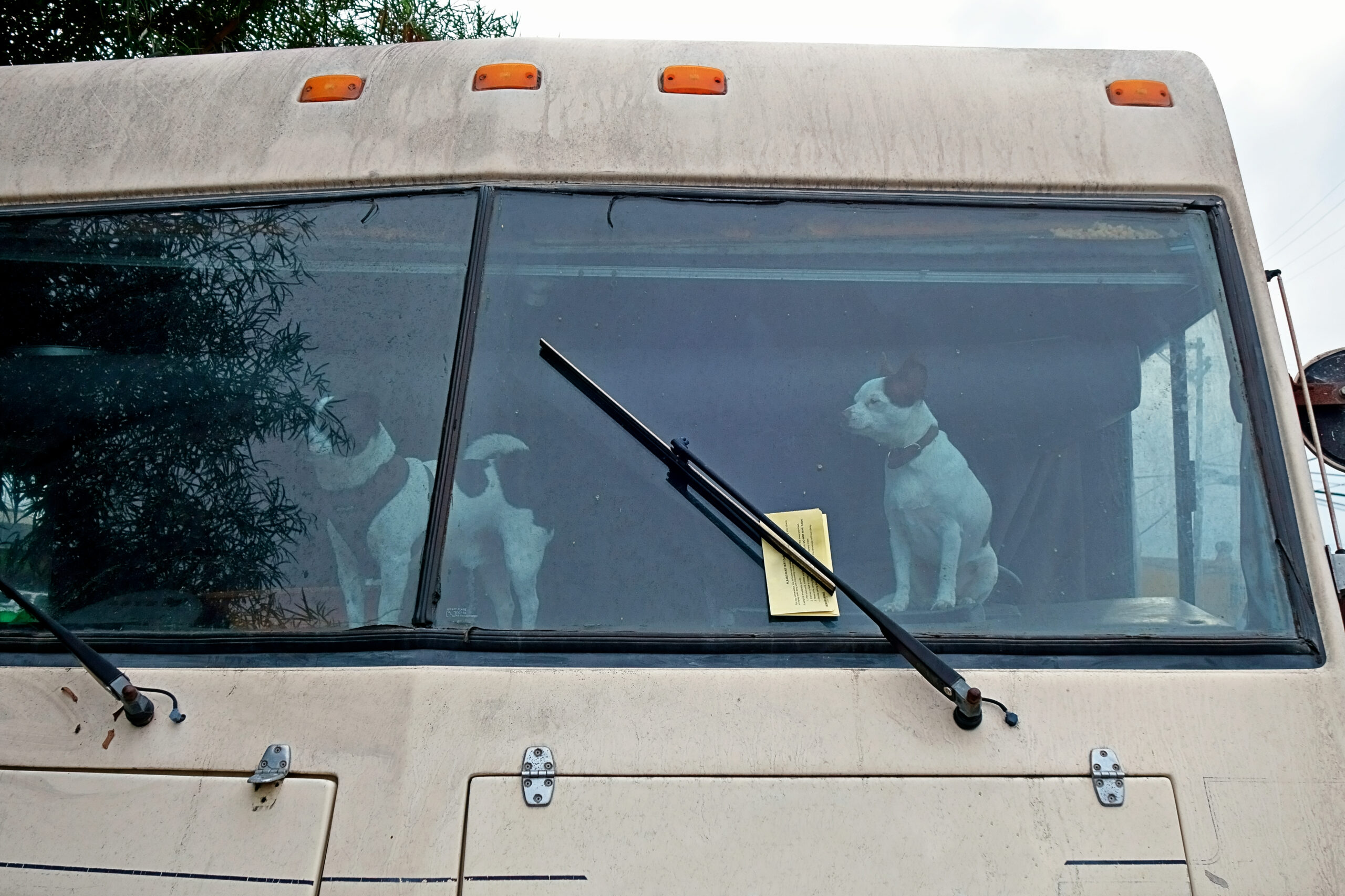 RV Windshield Replacement