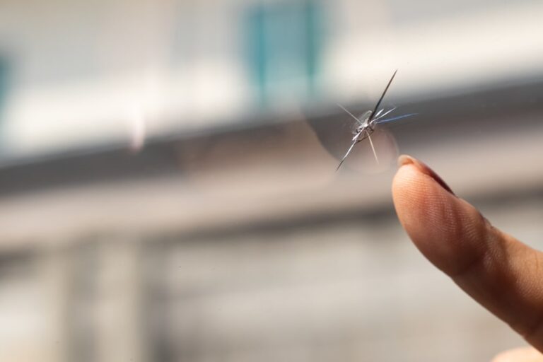 5 Types Of Windshield Chips That Can Be Fixed 5 Star Auto