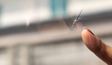 Types of windshield Chips that can be Repaired - 5 Star Auto Glass